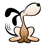 Dfh Acquisition LLC - Pet Stores in Sanford