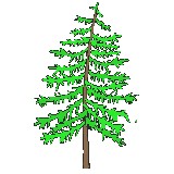 Green Tree Event Consultants - Other in Falmouth