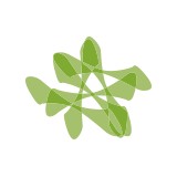 Special Diversified Opportunities Inc - Manufacturer in Windham