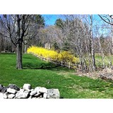 Portico Realty - Other in South Berwick