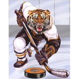 Gardiner Youth Hockey Assoc - Other in Gardiner