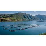 Skretting Canada Inc - Other in Westbrook