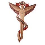 Morin Chiropractic Center - Chiropractors in Auburn