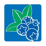 Blue Hill Peninsula Chamber - Other in Blue Hill