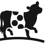 Belted Cow Co LLC - Other in Yarmouth