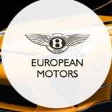 European Motors - Other in Gray