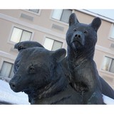 Black Bear Inn Conference Center & Suites - Other in Augusta