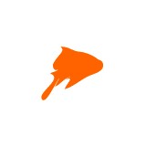 Redfin Solutions - Business Consulting in Freeport