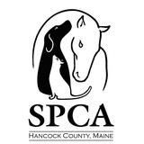 Spca If Hancock County - Other in Ellsworth