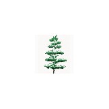 Twin Lakes Nursery, Inc - Landscape Architects in Grand Rapids