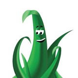 Greenblade One - Lawn Services in Jackson