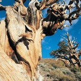 Huttenlocher Group - Insurance in Waterford Township