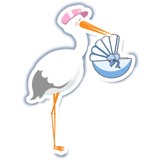 Stork Baby Gift Baskets - Other in Temperance