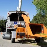 Precision Tree Care - Tree Services in Kalamazoo