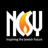 Ncsy - Youth Groups & Organizations in Southfield