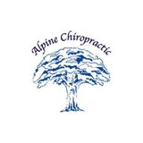 Alpine Chiropractic Center - Chiropractors in Comstock Park