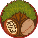 Cacao Tree Cafe - Restaurants in Royal Oak