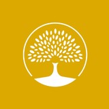 Arbor Brewing Company - Restaurants in Ann Arbor