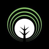 Pro Care Tree Service LLC - Other in Byron Center