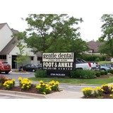 Newman Marcela P DDS - Dentists in Ann Arbor