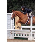 Wildwind Equestrian Center - Other in South Lyon