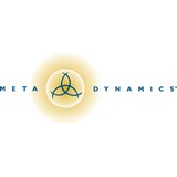 Metadynamics - Business Consulting in Troy