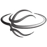 Stingray Advisory Group LLC - Business Consulting in Caledonia