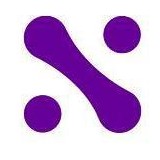 Netarx Inc - Web Design & Development in Farmington Hills