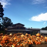 Pond Hill Farm - Other in Harbor Springs