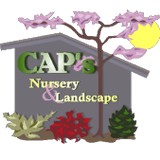Cap's Nursery & Landscape - Landscape Architects in Jackson