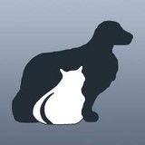 American Animal Hospital Assoc - Veterinarians/Vets in Highland Park