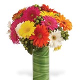 Patterson's Flowers - Other in Reed City