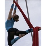 Aerial 4 Me, LLC - Fitness & Instruction in Grand Rapids