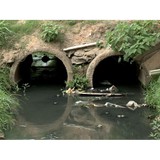 Terra Contracting - Other in Climax