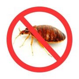 Pronto Bed Bug Detectives - Pest Control in Ferndale
