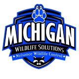 Michigan Wildlife Solutions - Pest Control in Fenton