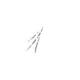 Folbe Pinsky & Assoc - Dentists in Auburn Hills