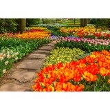 Horrocks Garden Center - Other in Ionia