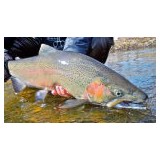 Schmidt Outfitters - Other in Wellston