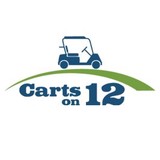 Ray's Golf Car Inc - Other in New Buffalo