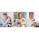 Riverview Animal Hospital - Veterinarians/Vets in Riverview