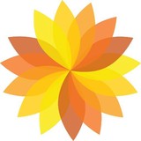 StarSunflower Studio, LLC - Other in Mecosta