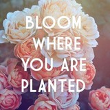 B/A Florist - Florists in Lansing