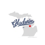 Gladwin Boat Rental Inc - Other in Gladwin