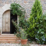 Miracle Lawn Maintenance LLC - Lawn Services in Kalamazoo