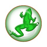 Evolve Solutions - Web Design & Development in Grand Rapids
