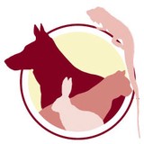 Bauer Miranda DVM - Veterinarians/Vets in Charlotte