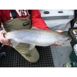 River Rat Dog Guide Fly Fishing Service Outfitter - Other in Newaygo