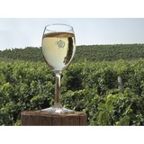 Fenn Valley Winery & Vineyards - Other in Fennville