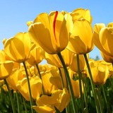 Hearing Resources - Other in Byron Center
